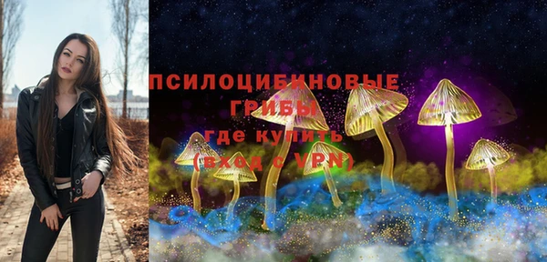 прущие крисы Осинники