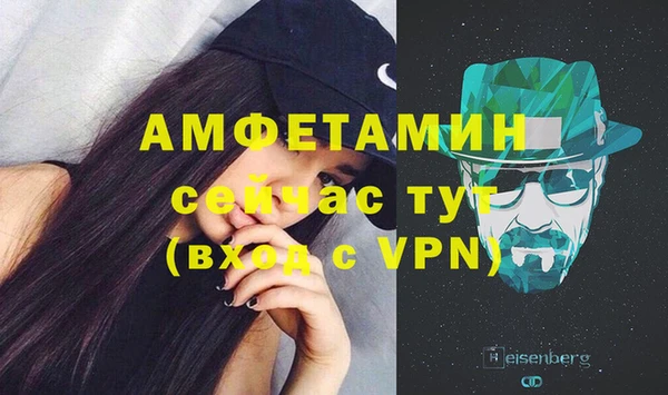 гашик Няндома