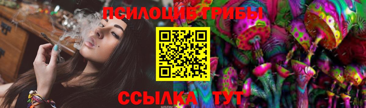 Саров  Галлюциногенные грибы прущие грибы  Вход с VPN  Псилоцибиновые грибы прущие грибы 